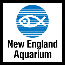 New England Aquarium Webcam
