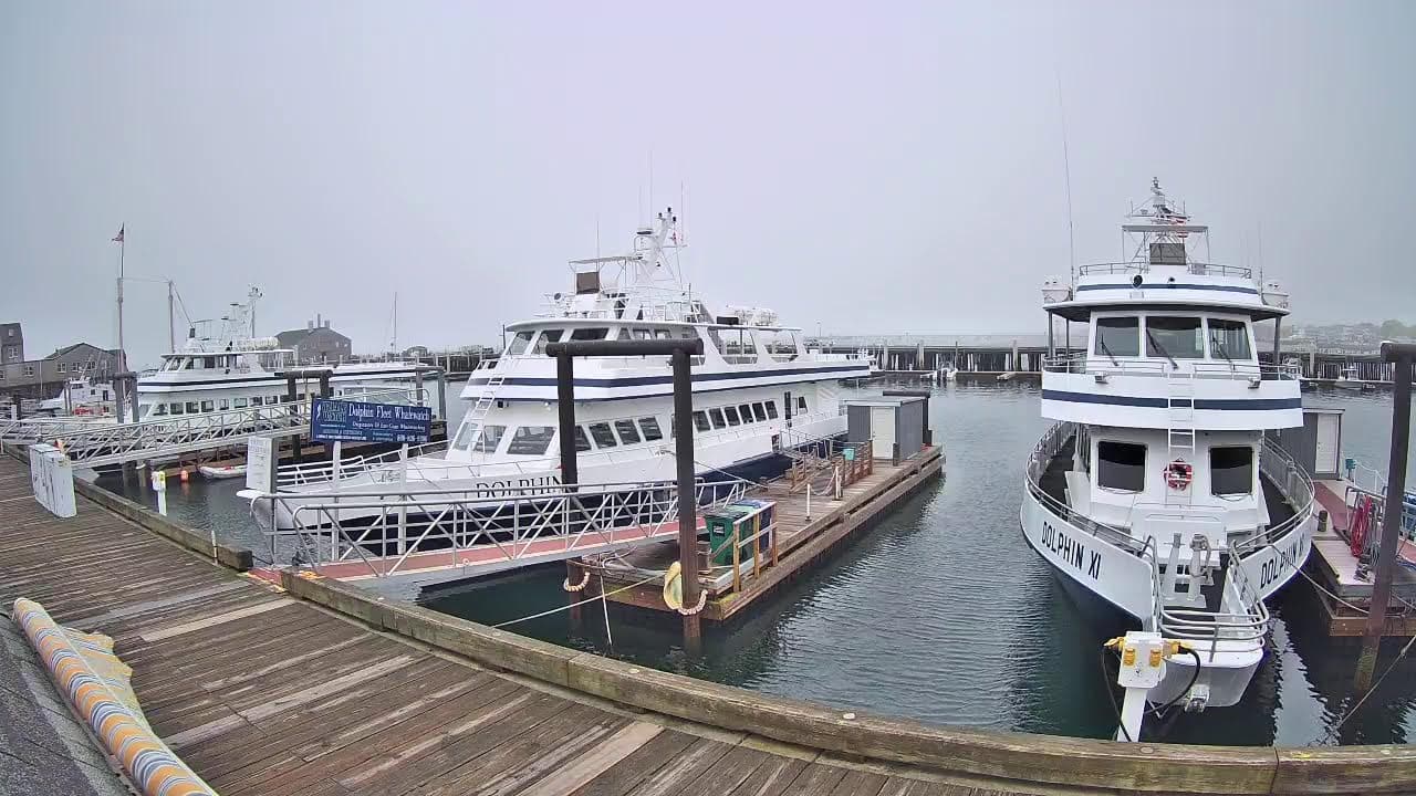 Cape Cod Webcams Live MacMillan Pier Webcam Provincetown MA
