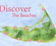 Nantucket Beaches Webcam – Great Point