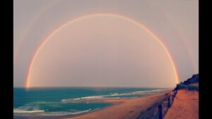 The Beachcomber Cape Cod Webcam