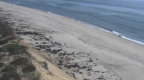 Marconi Beach Webcam