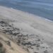 Marconi Beach Webcam