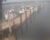 Mass Maritime Webcam Live Video Feeds
